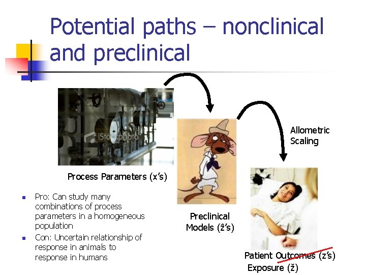 Potential paths – nonclinical and preclinical Allometric Scaling Process Parameters (x’s) n n Pro: