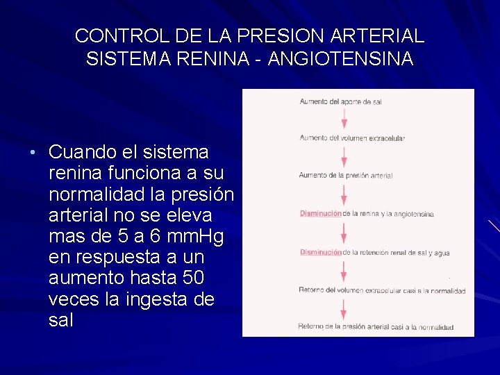 CONTROL DE LA PRESION ARTERIAL SISTEMA RENINA - ANGIOTENSINA • Cuando el sistema renina