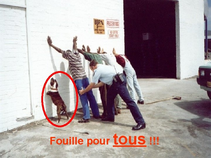 Fouille pour tous !!! 