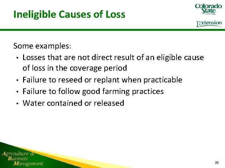 Ineligible Causes of Loss Some examples: • Losses that are not direct result of