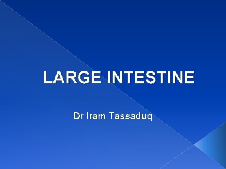 LARGE INTESTINE Dr Iram Tassaduq 