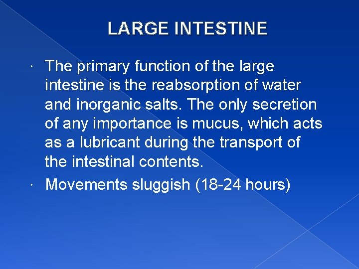 LARGE INTESTINE The primary function of the large intestine is the reabsorption of water