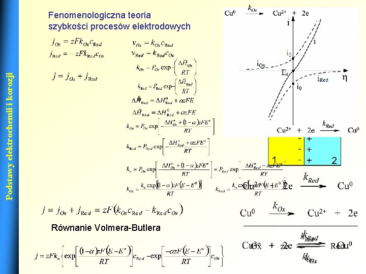 Podstawy elektrochemii i korozji Fenomenologiczna teoria szybkości procesów elektrodowych Równanie Volmera-Butlera 12 