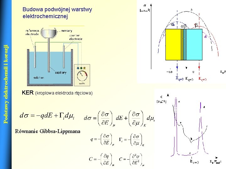 Podstawy elektrochemii i korozji Budowa podwójnej warstwy elektrochemicznej KER (kroplowa elektroda rtęciowa) Równanie Gibbsa-Lippmana