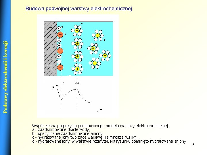 Podstawy elektrochemii i korozji Budowa podwójnej warstwy elektrochemicznej Współczesna propozycja podstawowego modelu warstwy elektrochemicznej.