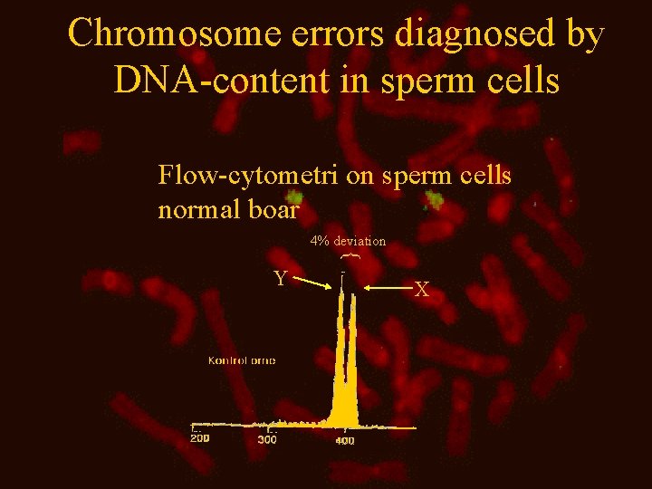 Chromosome errors diagnosed by DNA-content in sperm cells Flow-cytometri on sperm cells normal boar Chromosome errors diagnosed by DNA-content in sperm cells Flow-cytometri on sperm cells normal boar