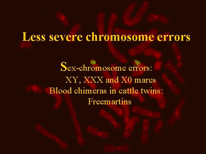 Less severe chromosome errors Sex-chromosome errors: XY, XXX and X 0 mares Blood chimeras Less severe chromosome errors Sex-chromosome errors: XY, XXX and X 0 mares Blood chimeras
