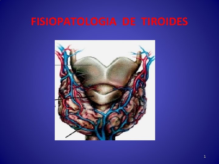 FISIOPATOLOGIA DE TIROIDES 1 