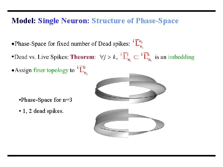 Model: Single Neuron: Structure of Phase-Space • Phase-Space for n=3 • 1, 2 dead