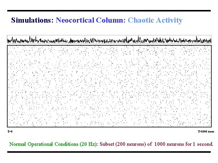 Simulations: Neocortical Column: Chaotic Activity T=0 T=1000 msec Normal Operational Conditions (20 Hz): Hz)
