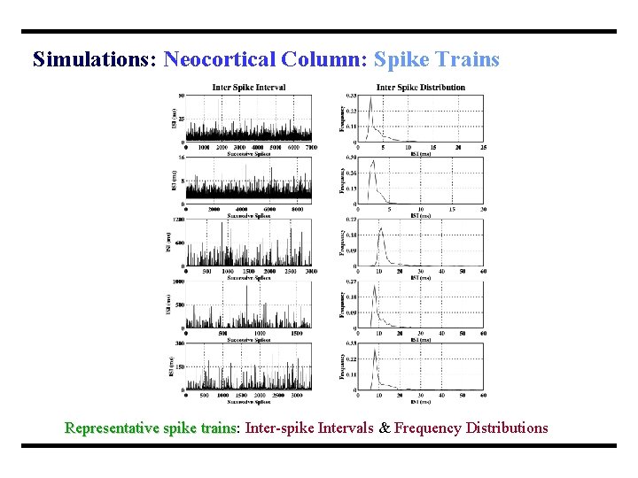 Simulations: Neocortical Column: Spike Trains Representative spike trains: trains Inter-spike Intervals & Frequency Distributions