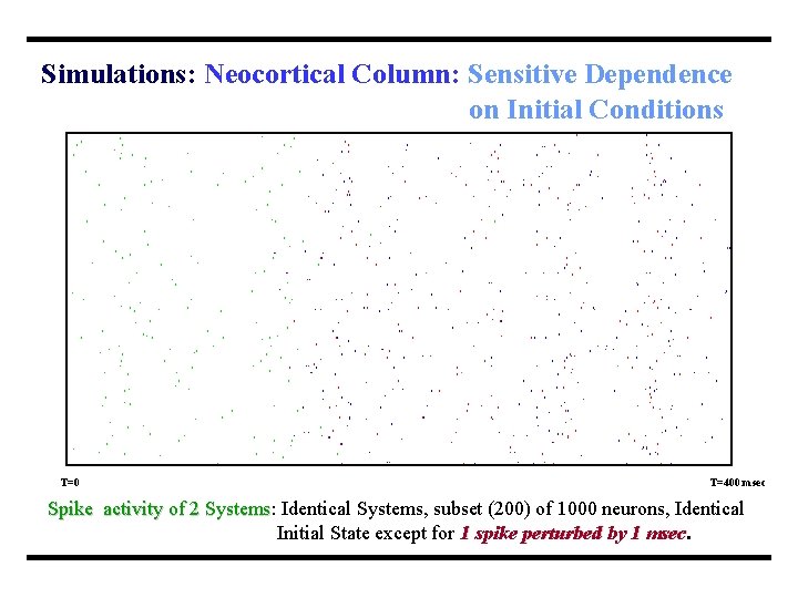 Simulations: Neocortical Column: Sensitive Dependence on Initial Conditions T=0 T=400 msec Spike activity of