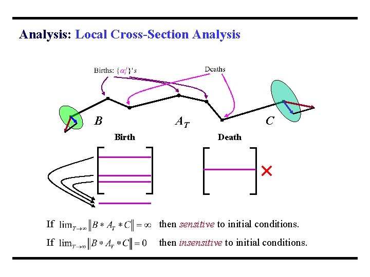 Analysis: Local Cross-Section Analysis AT B Birth C Death If then sensitive to initial