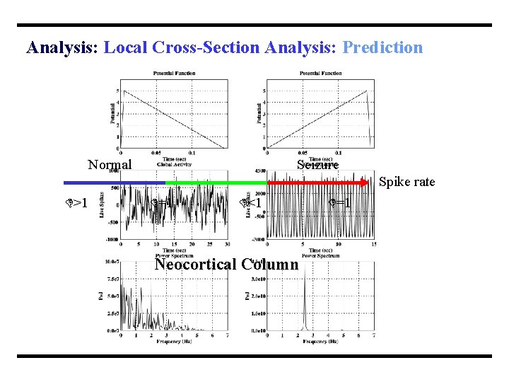 Analysis: Local Cross-Section Analysis: Prediction Seizure Normal Spike rate >1 =1 <1 Neocortical Column