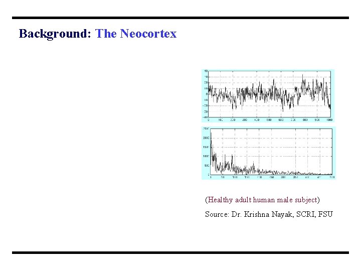 Background: The Neocortex (Healthy adult human male subject) Source: Dr. Krishna Nayak, SCRI, FSU