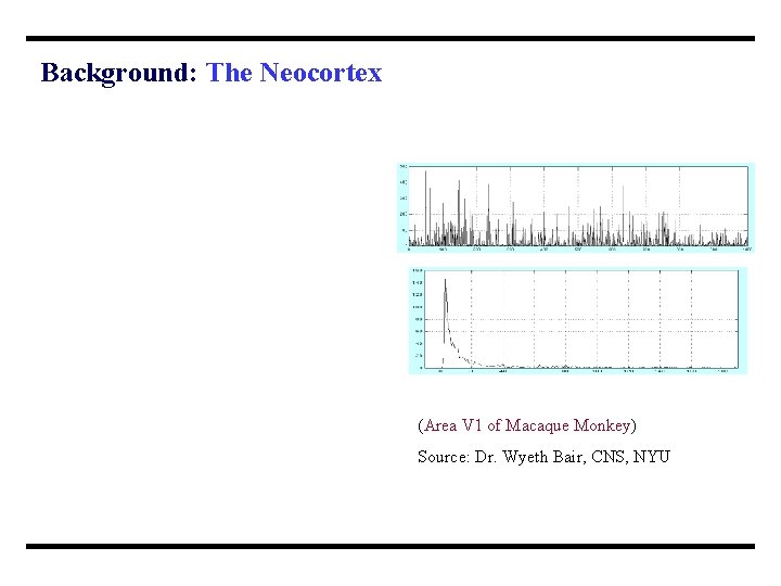 Background: The Neocortex (Area V 1 of Macaque Monkey) Source: Dr. Wyeth Bair, CNS,