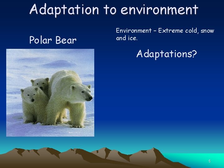 Adaptation to environment Polar Bear Environment – Extreme cold, snow and ice. Adaptations? 5