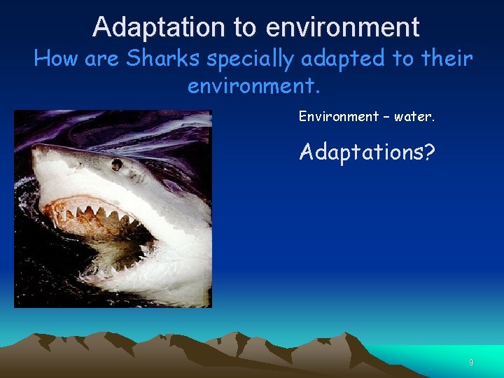 Adaptation to environment How are Sharks specially adapted to their environment. Environment – water.