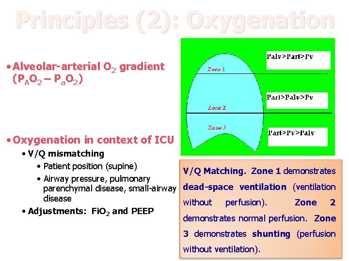 Principles (2): Oxygenation The primary goal of oxygenation is to maximize O 2 delivery