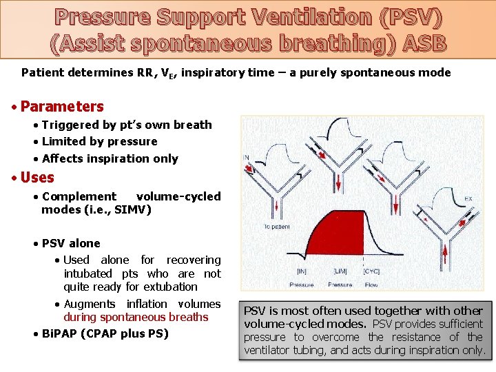 Pressure Support Ventilation (PSV) (Assist spontaneous breathing) ASB Patient determines RR, VE, inspiratory time