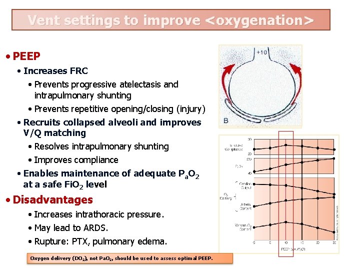 Vent settings to improve <oxygenation> • PEEP • Increases FRC • Prevents progressive atelectasis