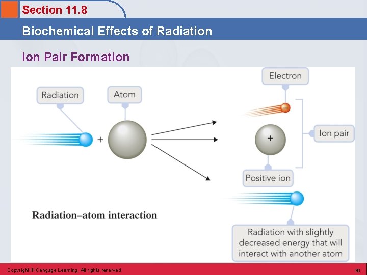 Section 11. 8 Biochemical Effects of Radiation Ion Pair Formation Copyright © Cengage Learning.
