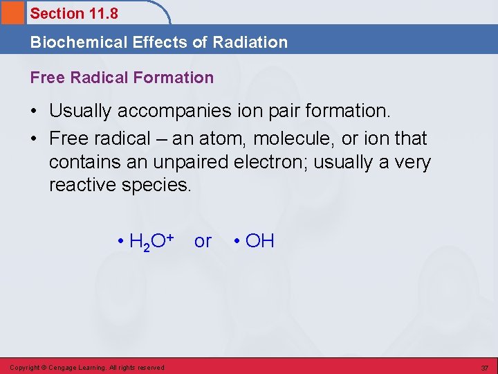 Section 11. 8 Biochemical Effects of Radiation Free Radical Formation • Usually accompanies ion