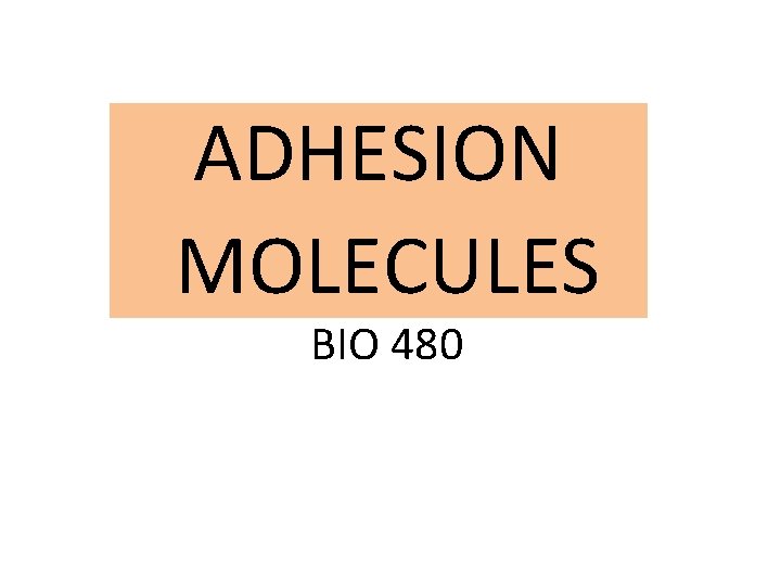 ADHESION MOLECULES BIO 480 