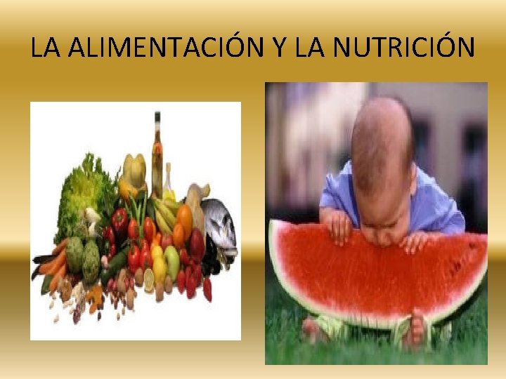 LA ALIMENTACIÓN Y LA NUTRICIÓN 