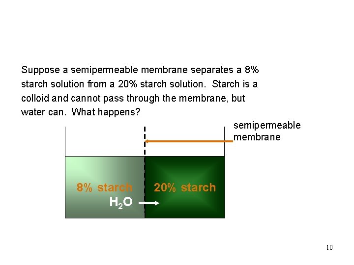 Osmosis Suppose a semipermeable membrane separates a 8% starch solution from a 20% starch Osmosis Suppose a semipermeable membrane separates a 8% starch solution from a 20% starch