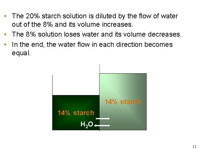 • The 20% starch solution is diluted by the flow of water Water • The 20% starch solution is diluted by the flow of water Water