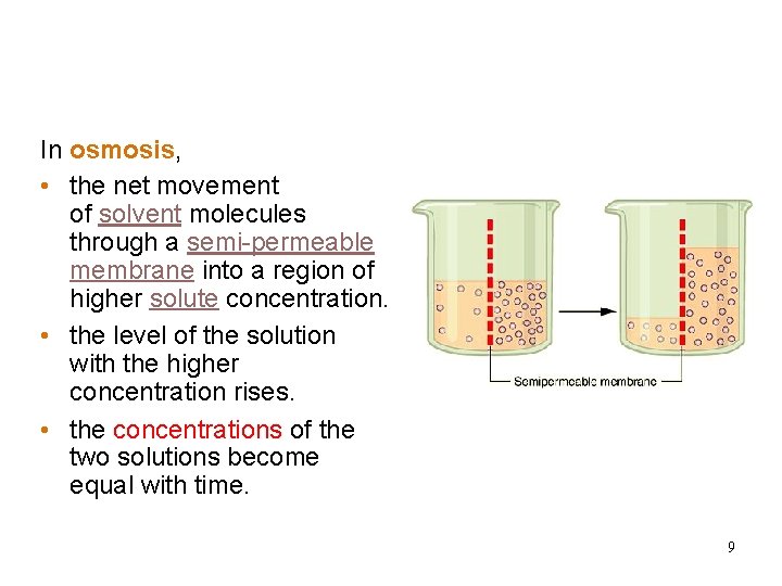 Osmosis In osmosis, • the net movement of solvent molecules through a semi-permeable membrane Osmosis In osmosis, • the net movement of solvent molecules through a semi-permeable membrane