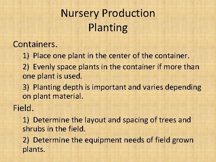 Nursery Production Planting Containers. 1) Place one plant in the center of the container.