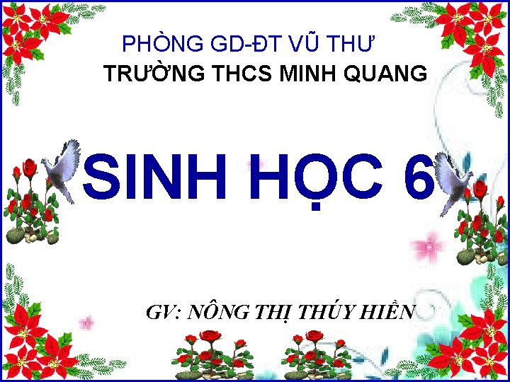 PHÒNG GD-ĐT VŨ THƯ TRƯỜNG THCS MINH QUANG SINH HỌC 6 GV: NÔNG THỊ