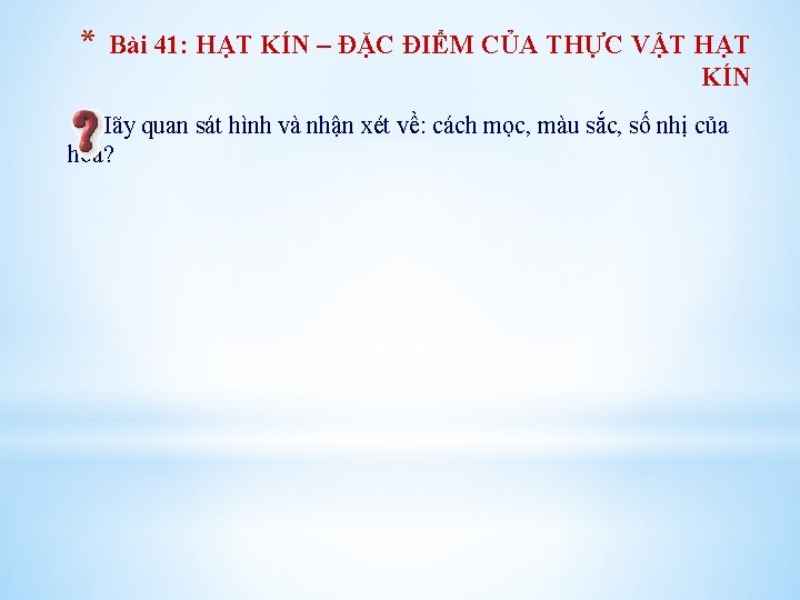 * Bài 41: HẠT KÍN – ĐẶC ĐIỂM CỦA THỰC VẬT HẠT KÍN Hãy