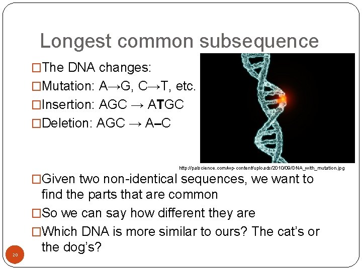 Longest common subsequence �The DNA changes: �Mutation: A→G, C→T, etc. �Insertion: AGC → ATGC