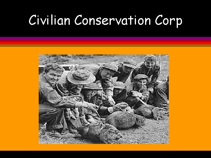 Civilian Conservation Corp 