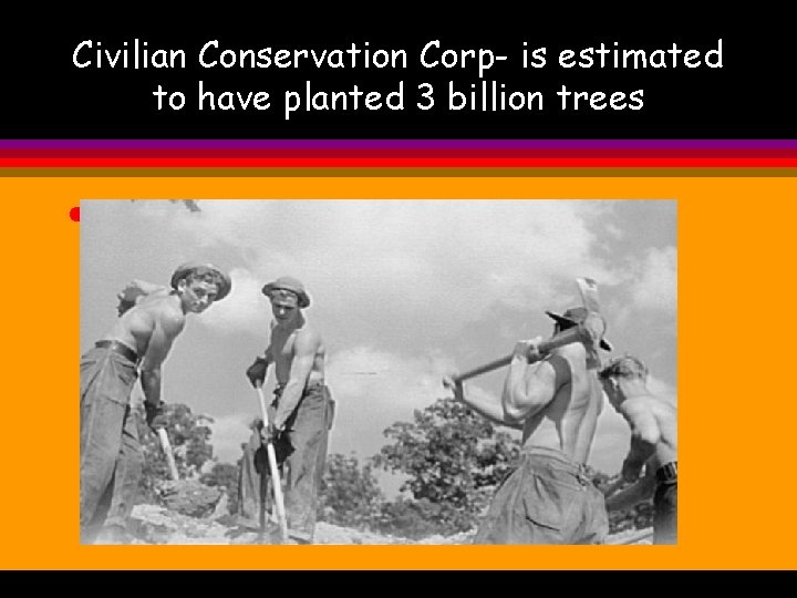 Civilian Conservation Corp- is estimated to have planted 3 billion trees l 