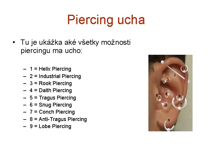 Piercing ucha • Tu je ukážka aké všetky možnosti piercingu ma ucho: – –