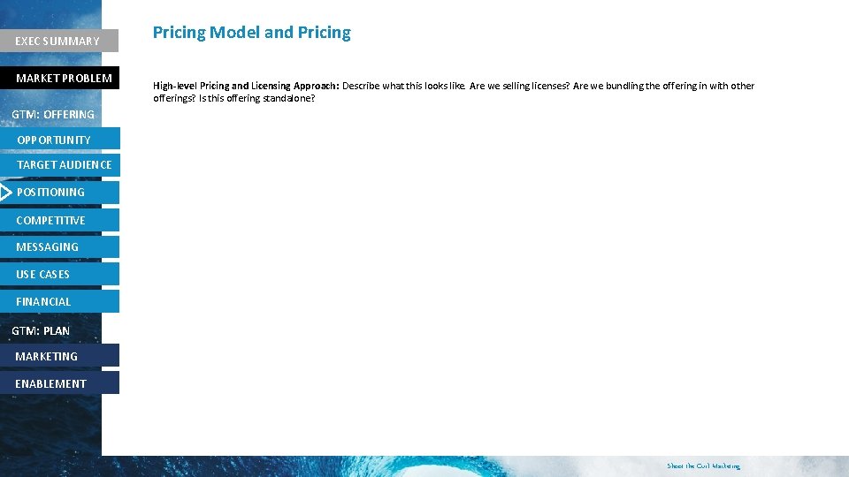 EXEC SUMMARY MARKET PROBLEM Pricing Model and Pricing High-level Pricing and Licensing Approach: Describe