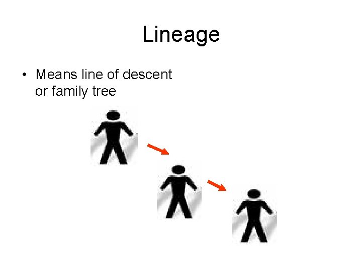 Lineage • Means line of descent or family tree Lineage • Means line of descent or family tree