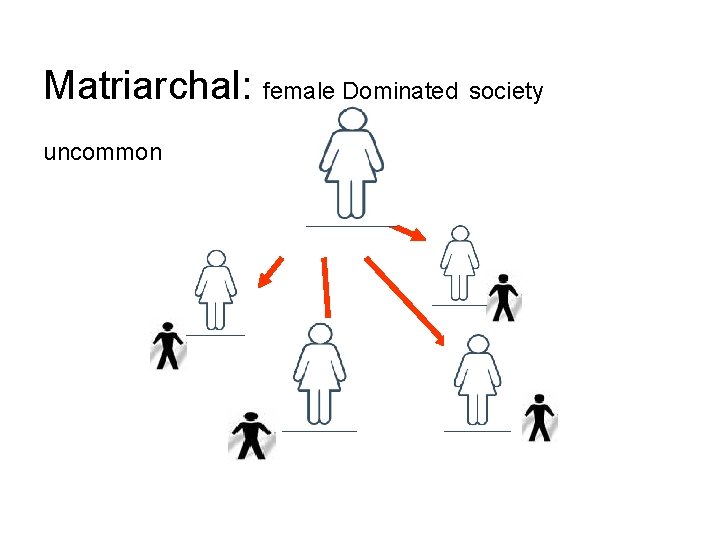 Matriarchal: female Dominated society uncommon Matriarchal: female Dominated society uncommon