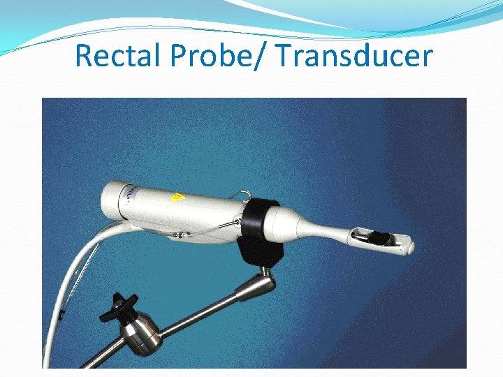 Rectal Probe/ Transducer 
