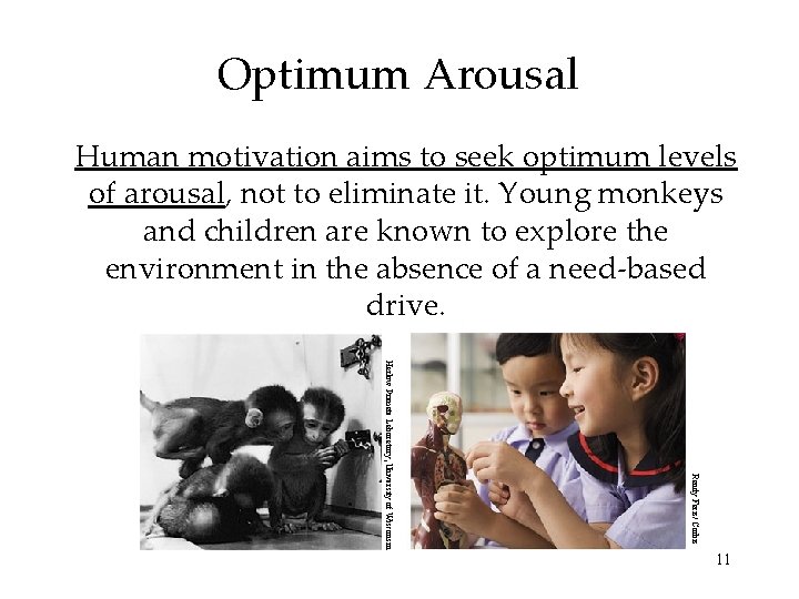 Optimum Arousal Human motivation aims to seek optimum levels of arousal, not to eliminate