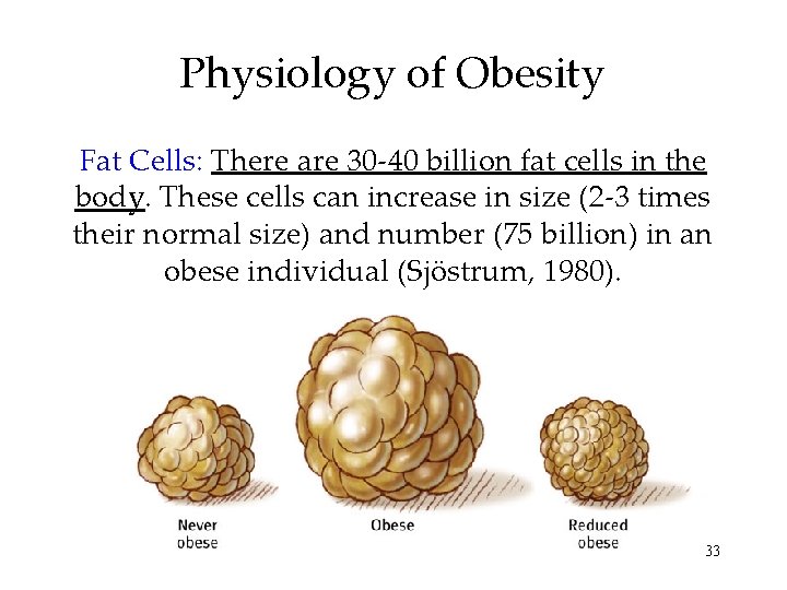 Physiology of Obesity Fat Cells: There are 30 -40 billion fat cells in the