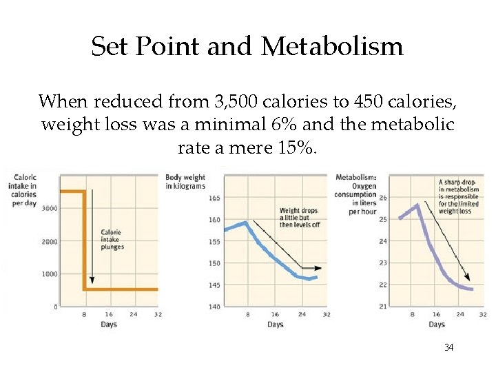 Set Point and Metabolism When reduced from 3, 500 calories to 450 calories, weight