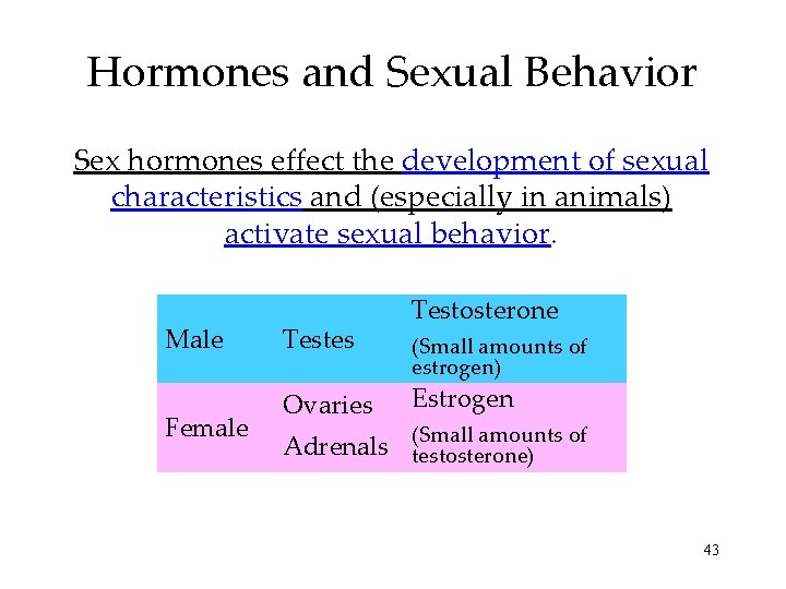 Hormones and Sexual Behavior Sex hormones effect the development of sexual characteristics and (especially