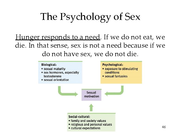 The Psychology of Sex Hunger responds to a need. If we do not eat,