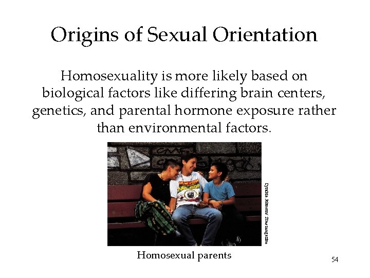 Origins of Sexual Orientation Homosexuality is more likely based on biological factors like differing