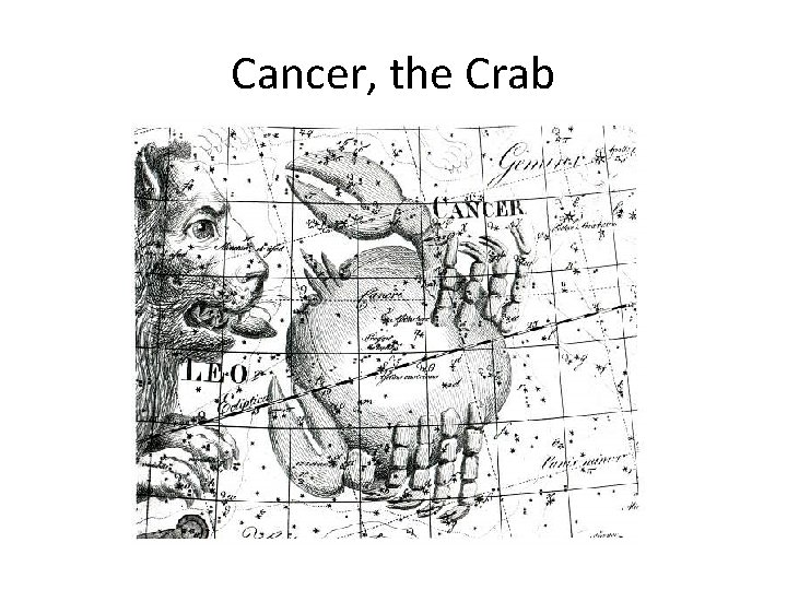 Cancer, the Crab 